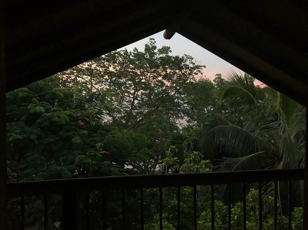 Hotel Playa Manglares主图