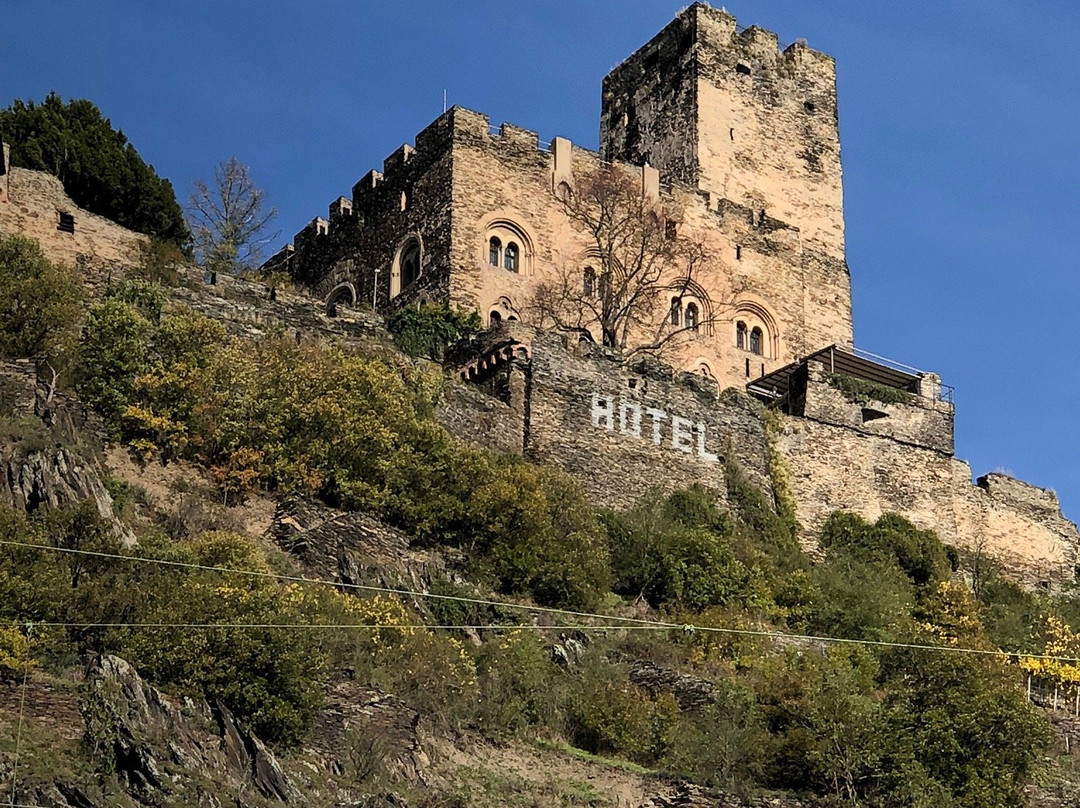 Rhine River Day Cruises-莱茵河畔宾根必去景点