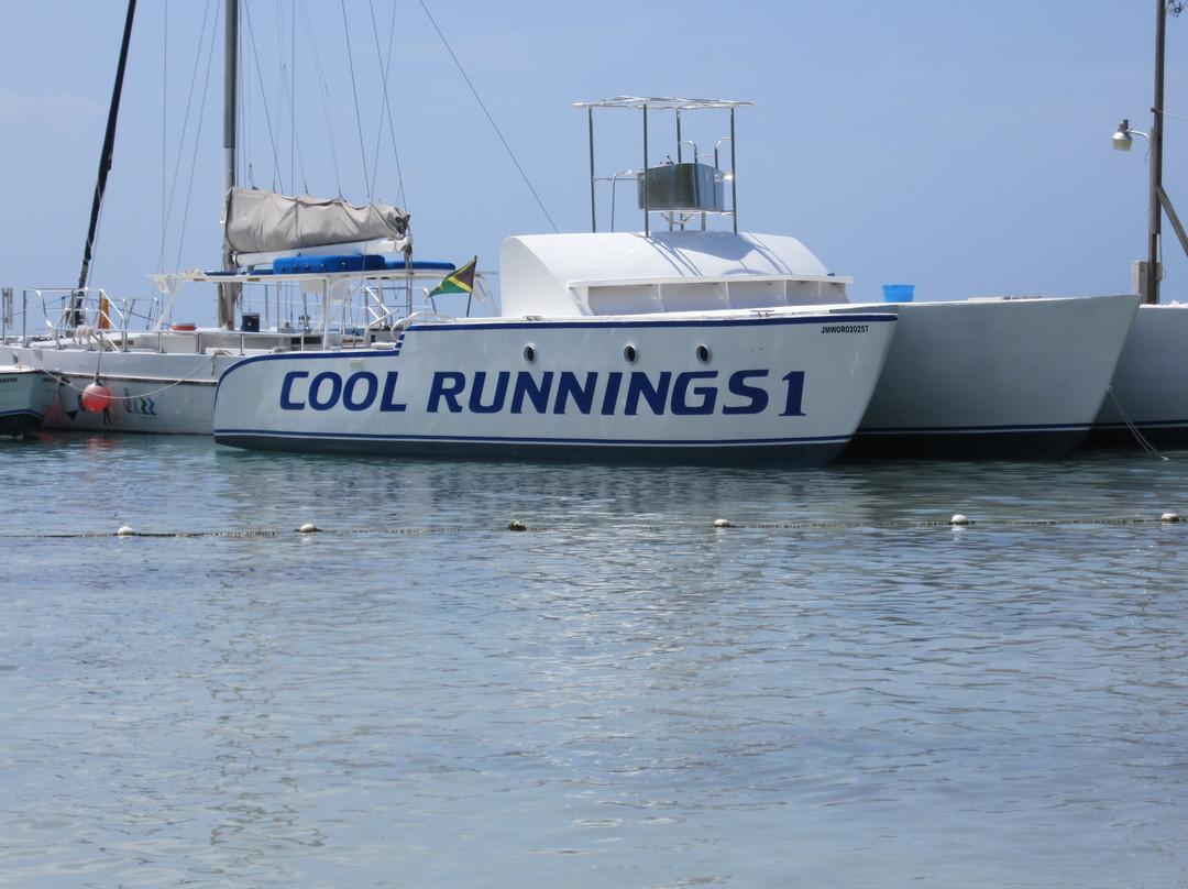 Travel Jamaica Tours-奥乔里奥斯必去景点