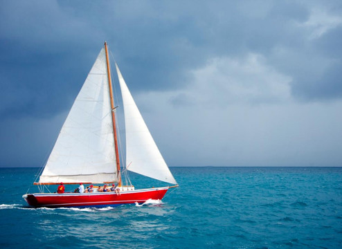 Savvy Sailing Adventure