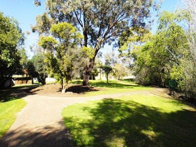 North Unley Playpark景点图片