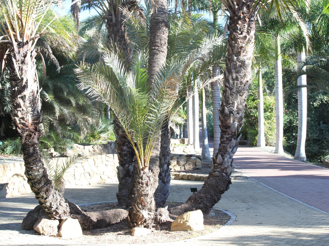 Jardin Botanico Historico La Concepcion景点图片