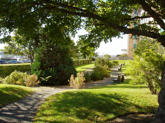 Portugal Cove-St. Philip's旅游景点-Pippy Park