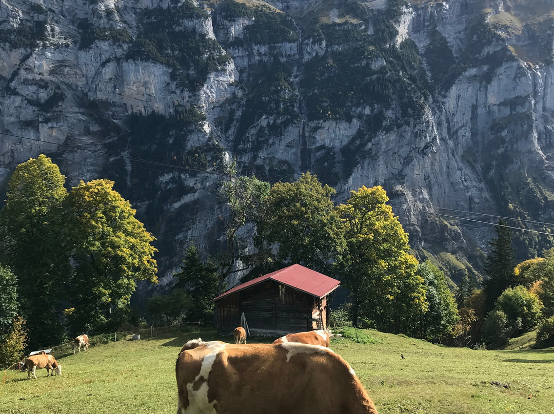 Gimmelwald - Tanzbodeli-Gimmelwald必去景点