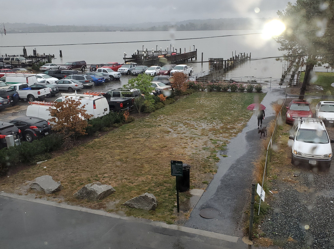 Hotel Indigo Old Town Alexandria by IHG主图