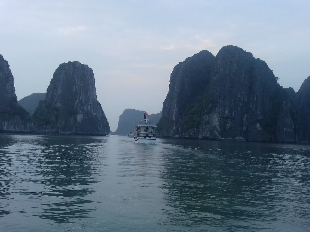Alova Premium Cruises-团洲岛必去景点