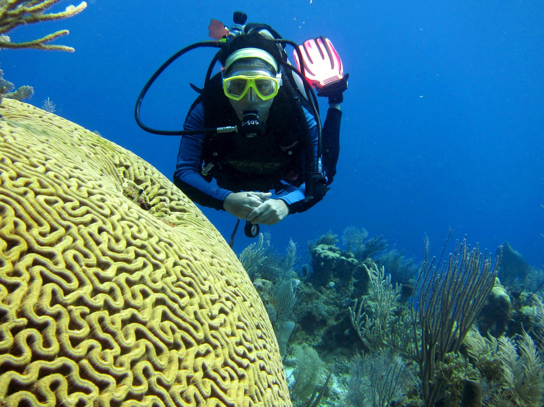 Chetumal Dive Club-切图马尔必去景点