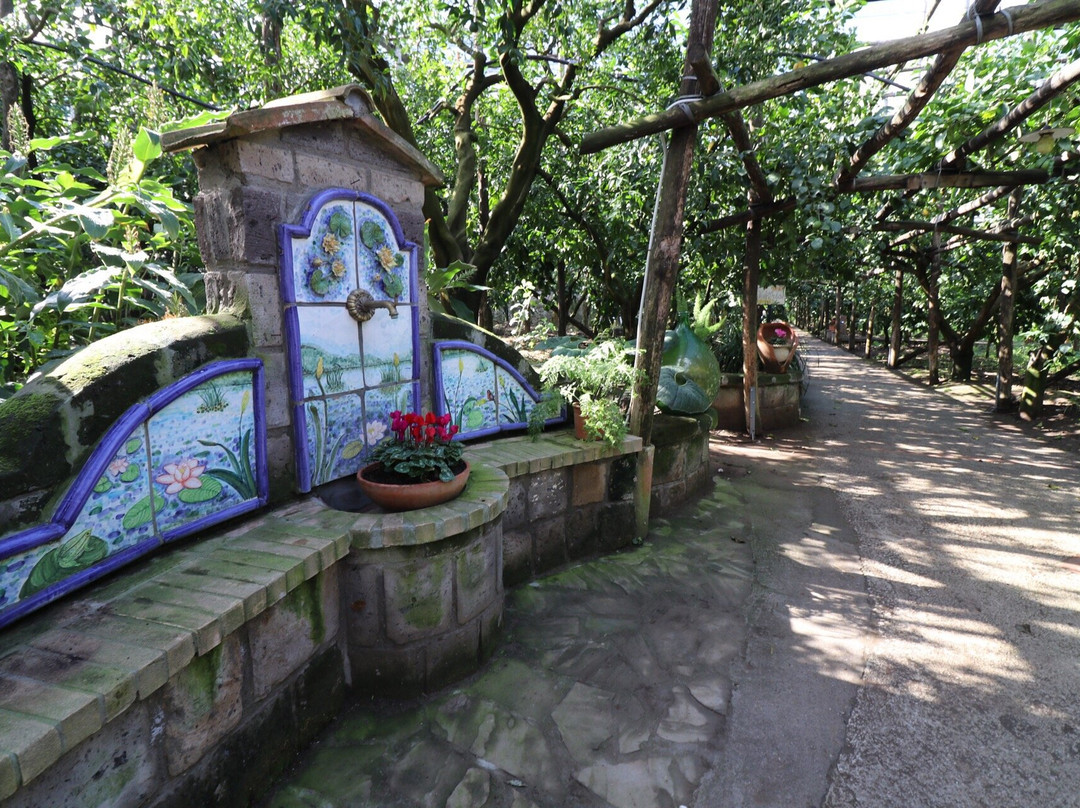 Agriturismo "Il Giardino di Vigliano"主图