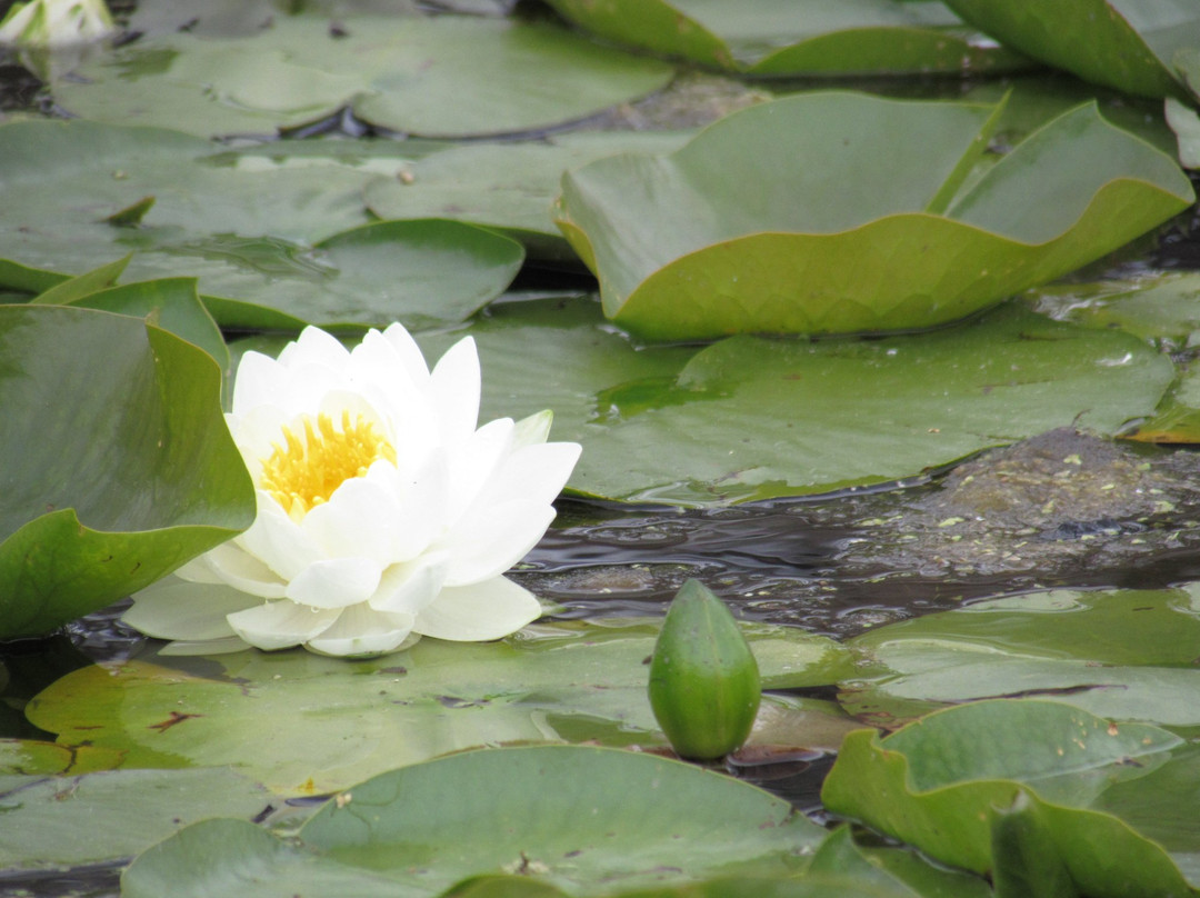 Richfield Heritage Park