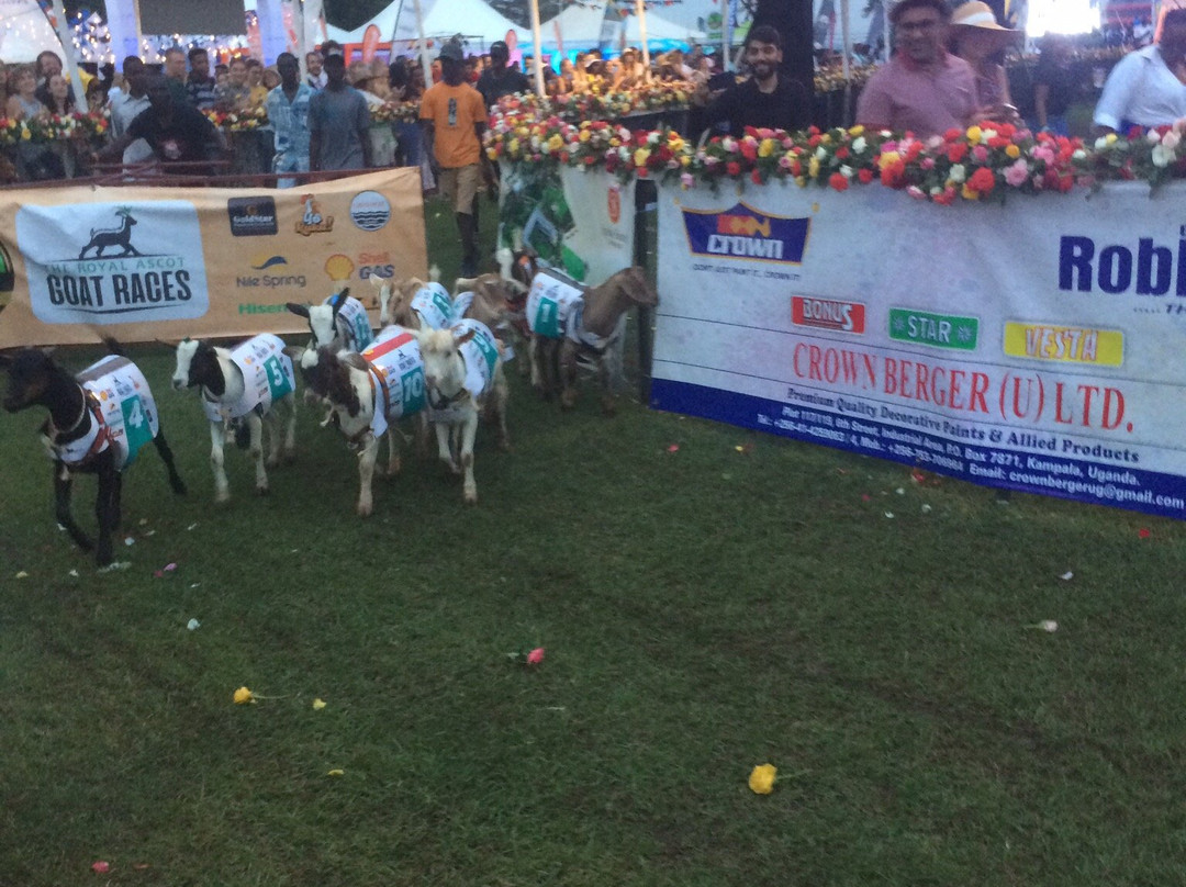 Munyonyo Beach-Munyonyo必去景点