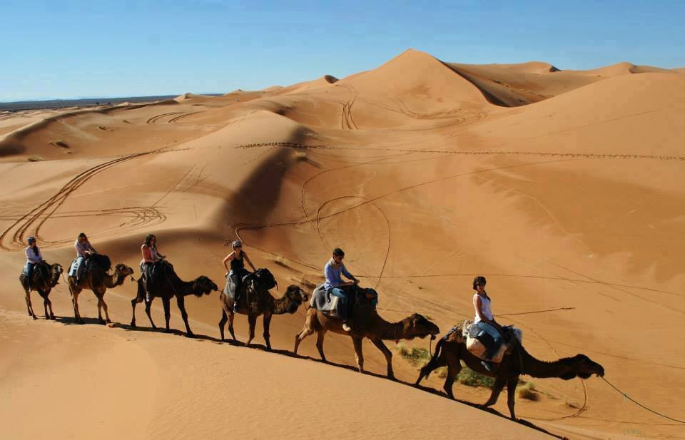 Berber Cultural Center-Marrakech-Safi必去景点