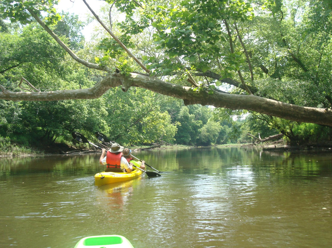 Paddle Creek景点图片