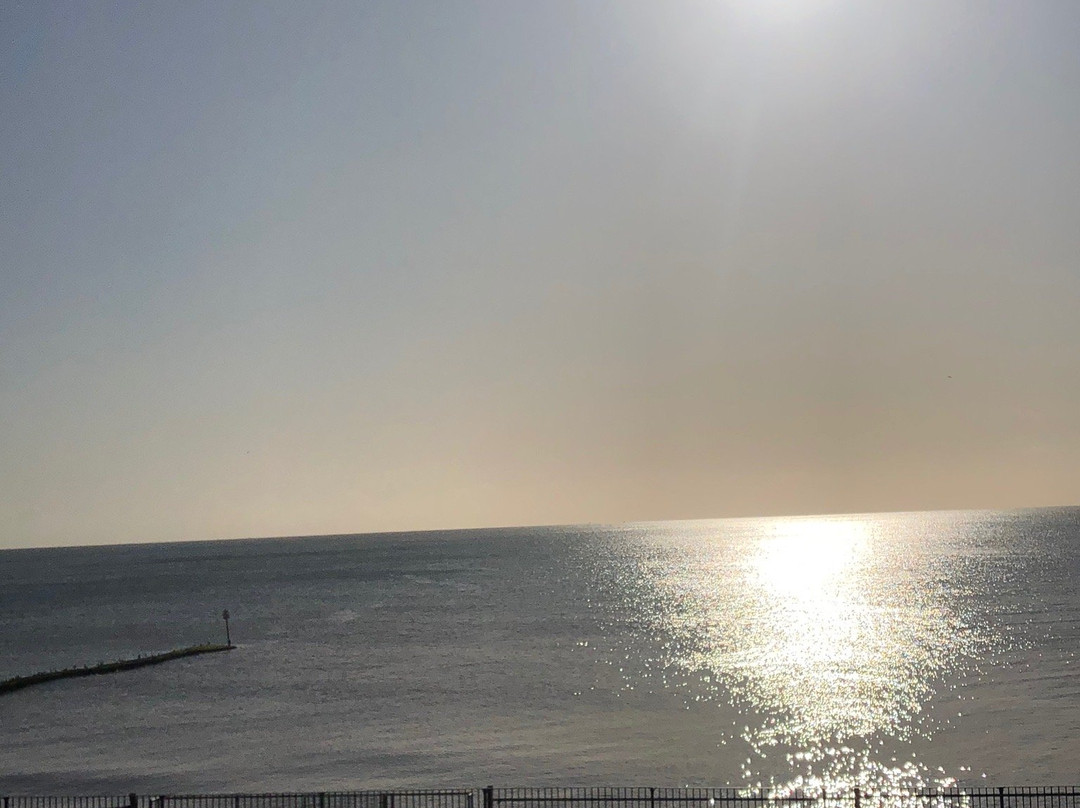 The Marine Tavern主图