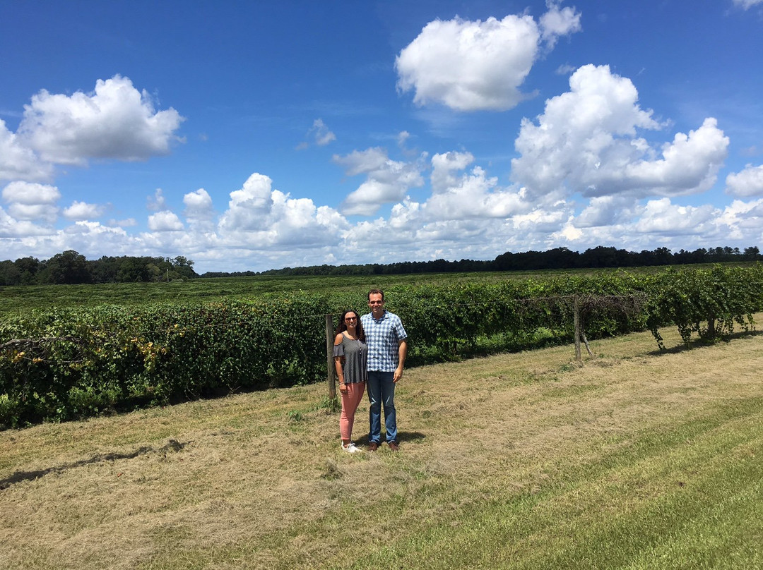 Blakely旅游景点-Still Pond Vineyard and Winery