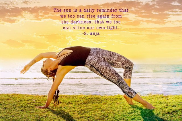 Rooted Flight-海库必去景点