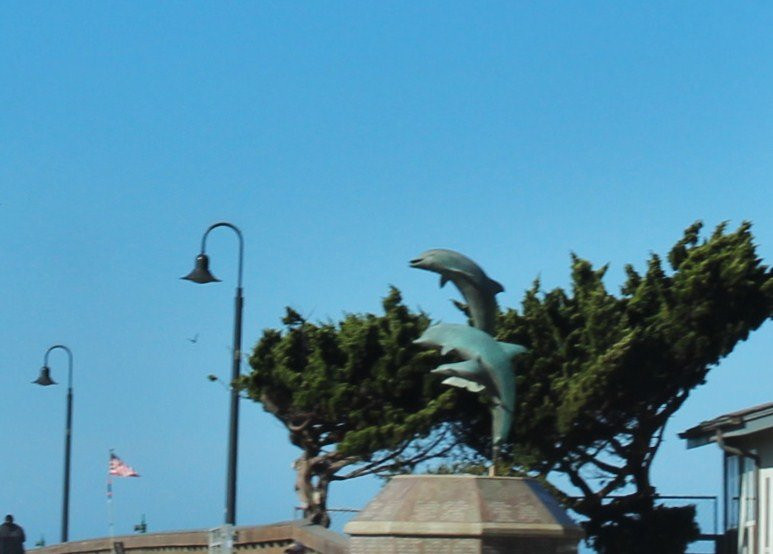Dolphin Statue景点图片