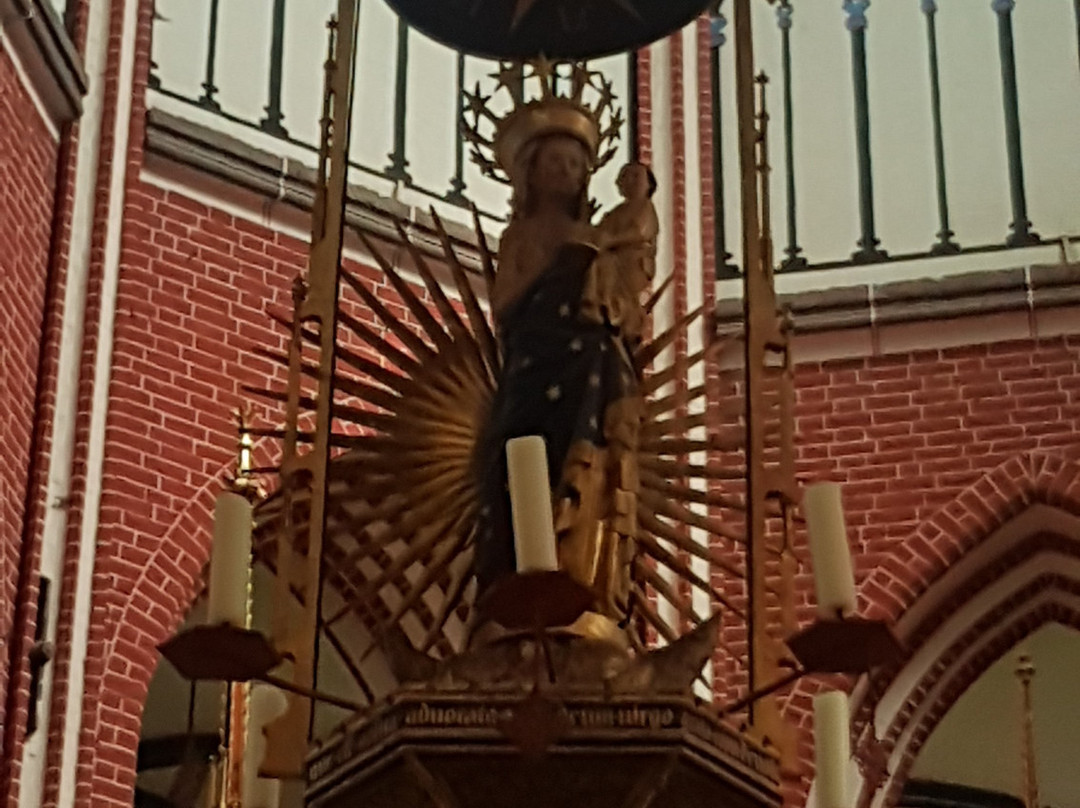 Doberaner Münster景点图片
