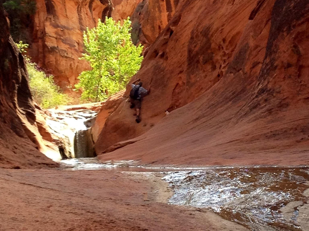 Red Cliffs Recreation Area