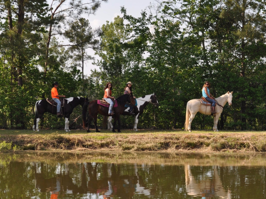 Grand Strand Horseback Riding景点图片