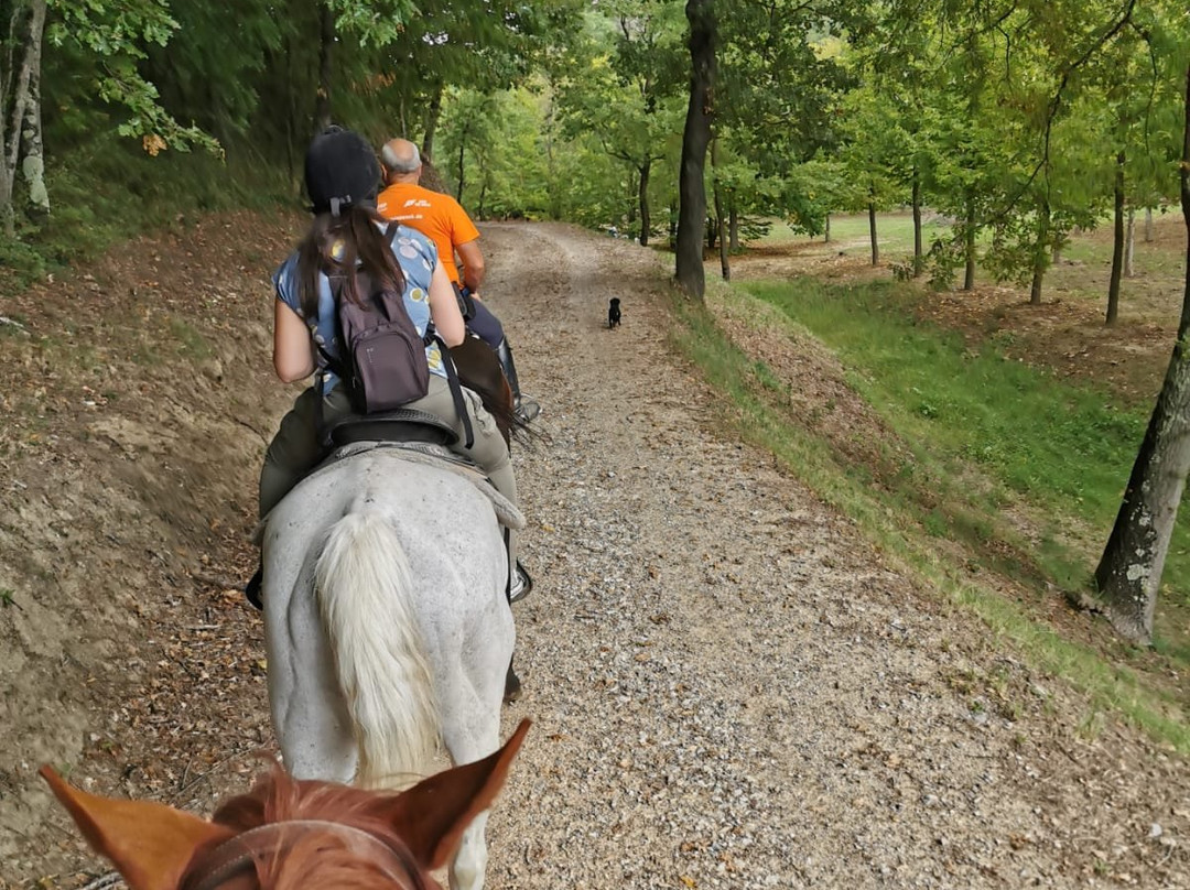 Horse Riding Tre Laghi-丘西必去景点