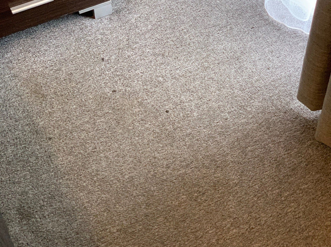 弗兰克斯顿旅馆主图