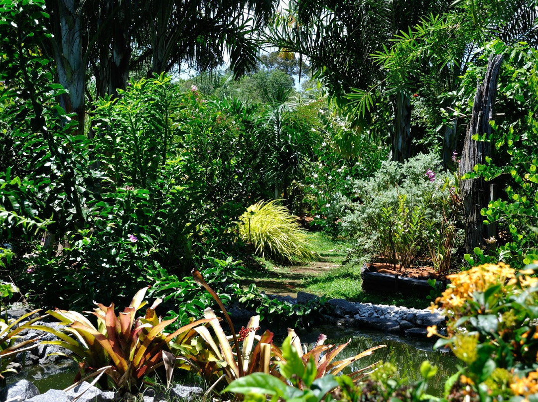 Jardin Botanique de Guyane景点图片