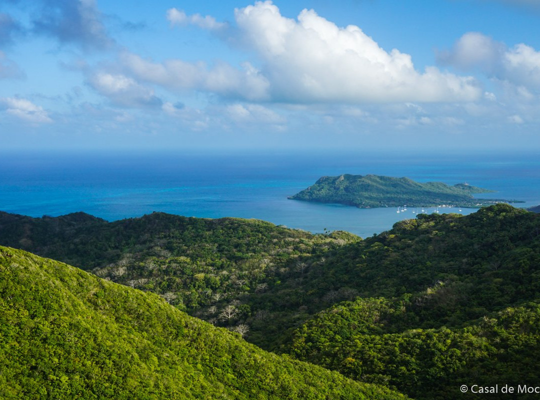 Bahia Suroeste旅游攻略图片