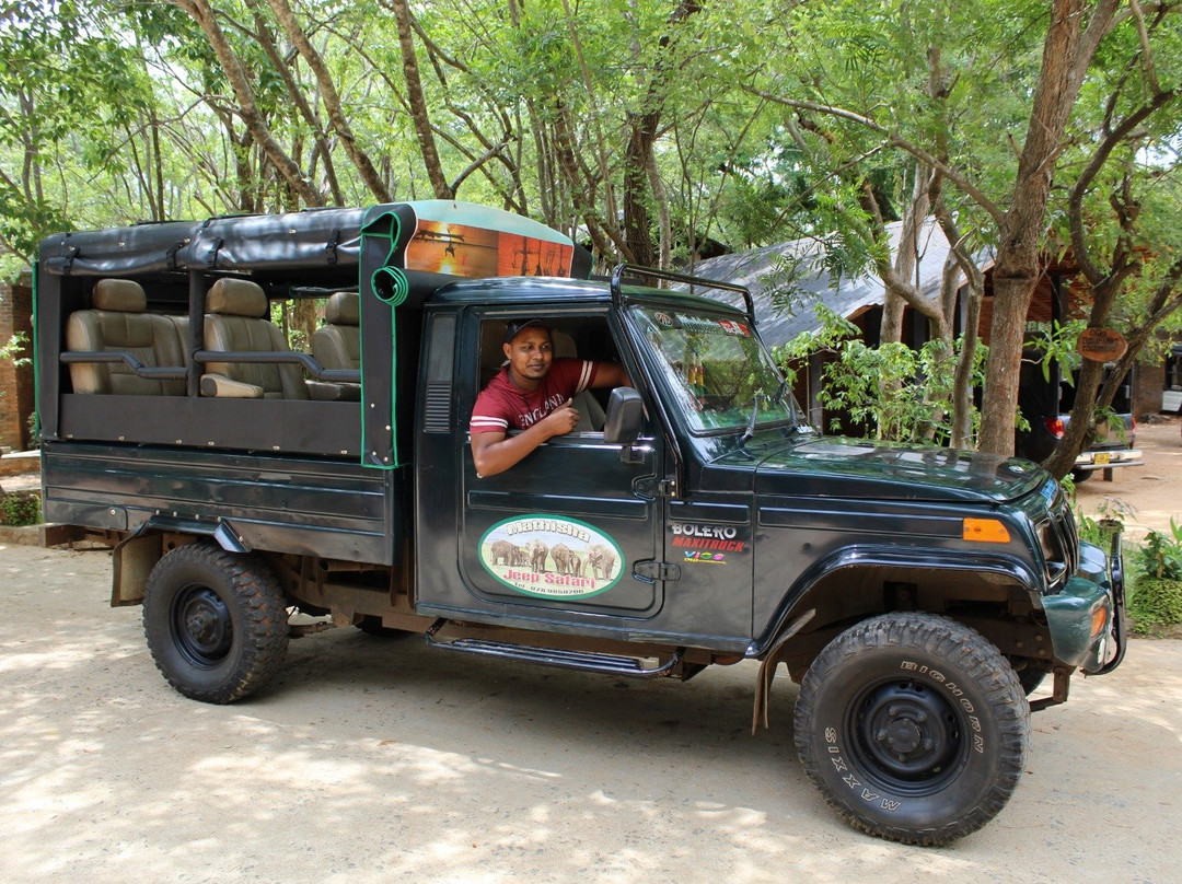 Minneriya  Safari & Taxi Service-丹布拉必去景点