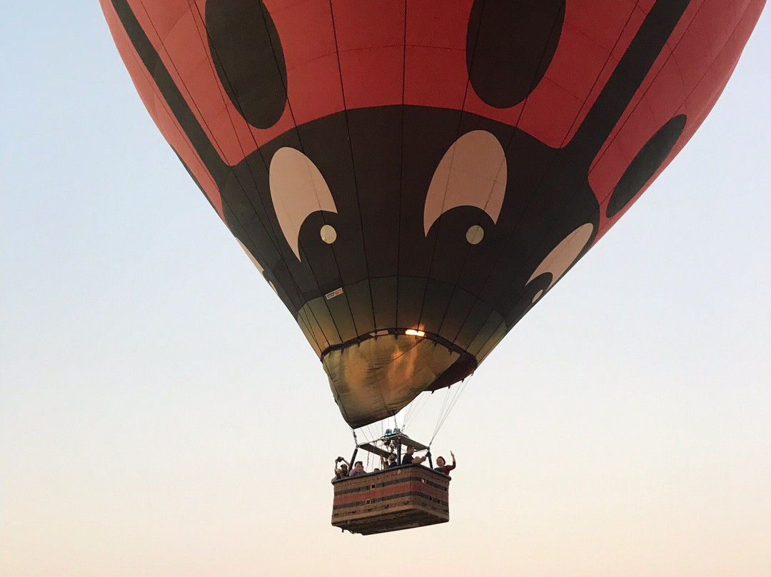 Skytrek Hot Air Balloon Tours-Afula必去景点
