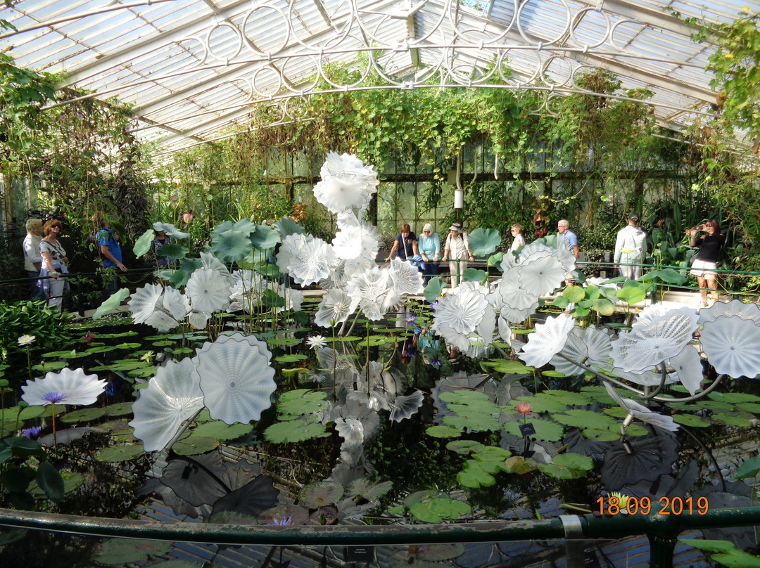 Waterlily House景点图片