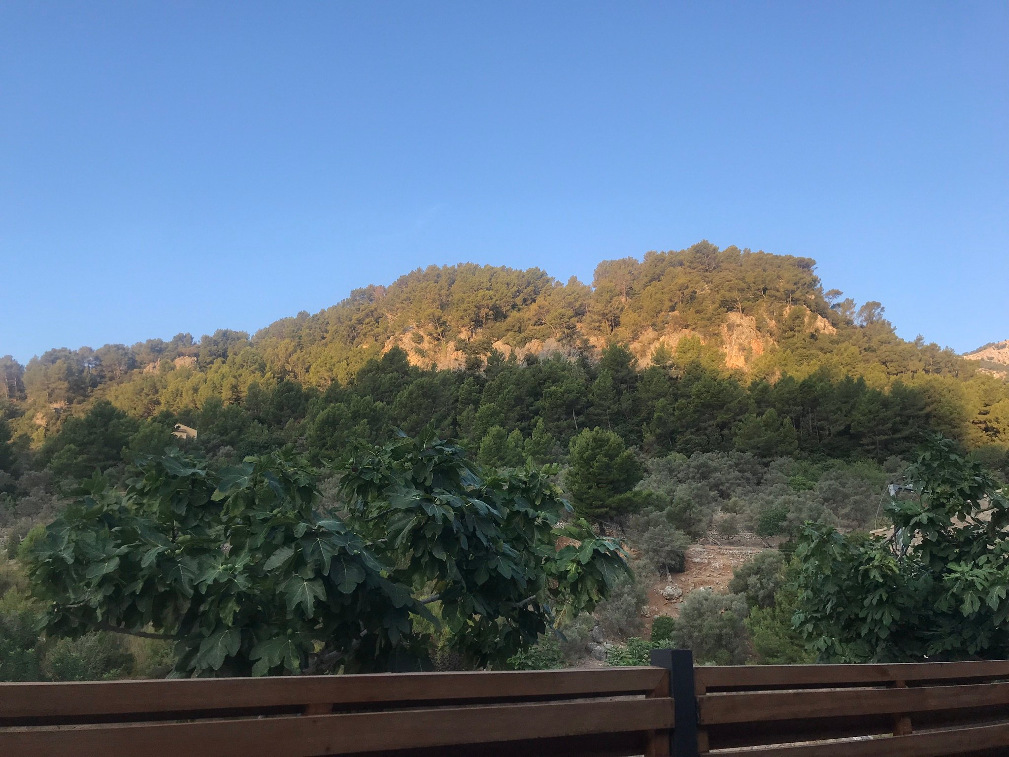 Agroturismo Alfabia Nou-酒店景观