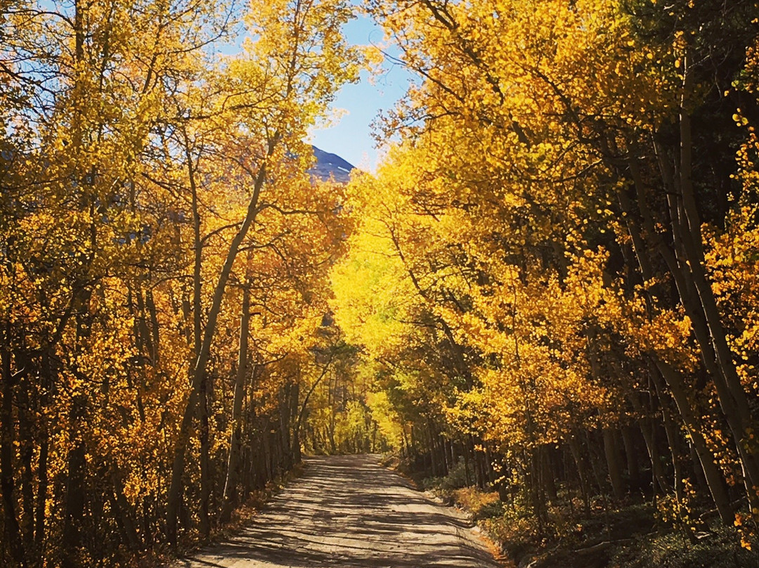 Boreas Pass Road景点图片