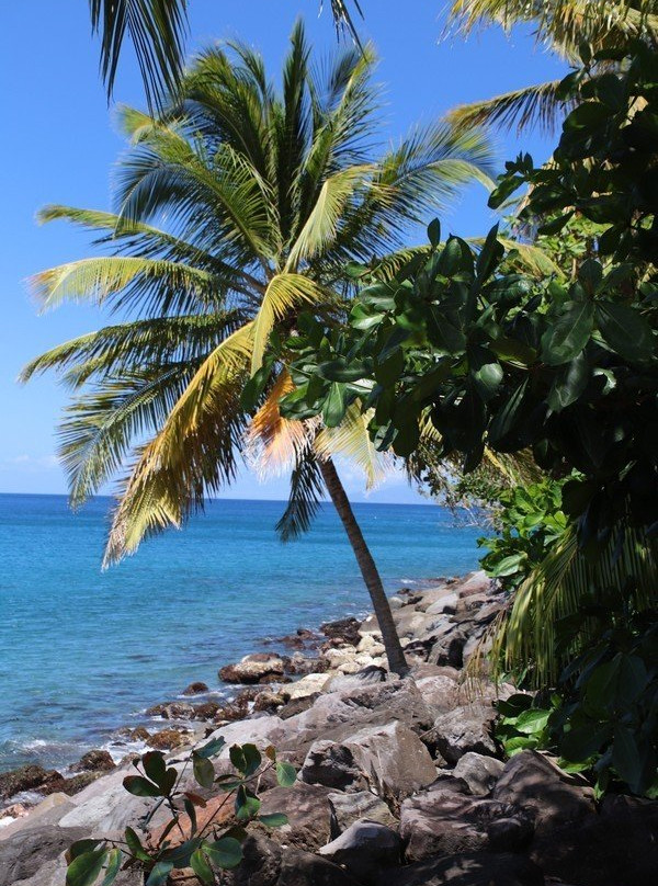 Anse Belleville-Le Precheur必去景点