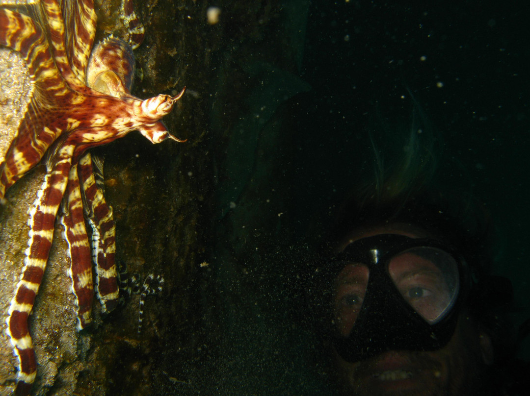 Oceanway-龙目岛必去景点