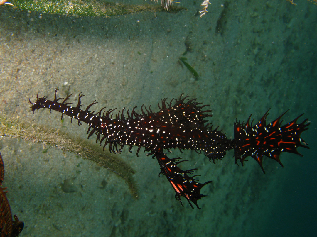Oceanway-龙目岛必去景点