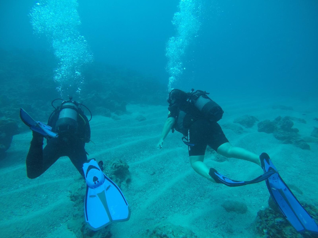 Blues Diving Centre景点图片