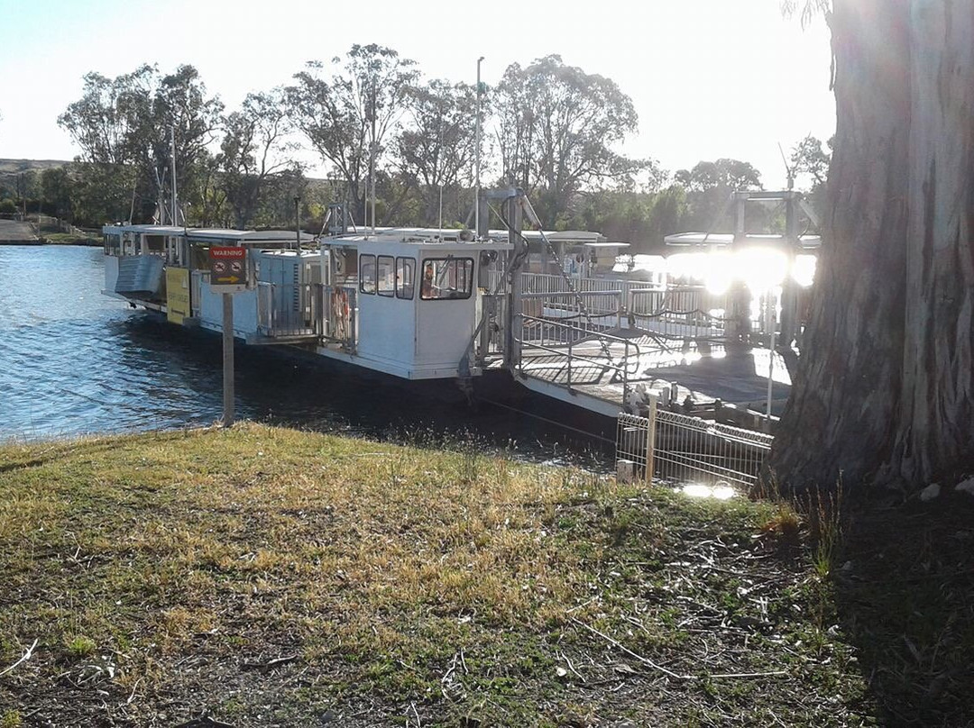River Murray Ferries-Walker Flat必去景点