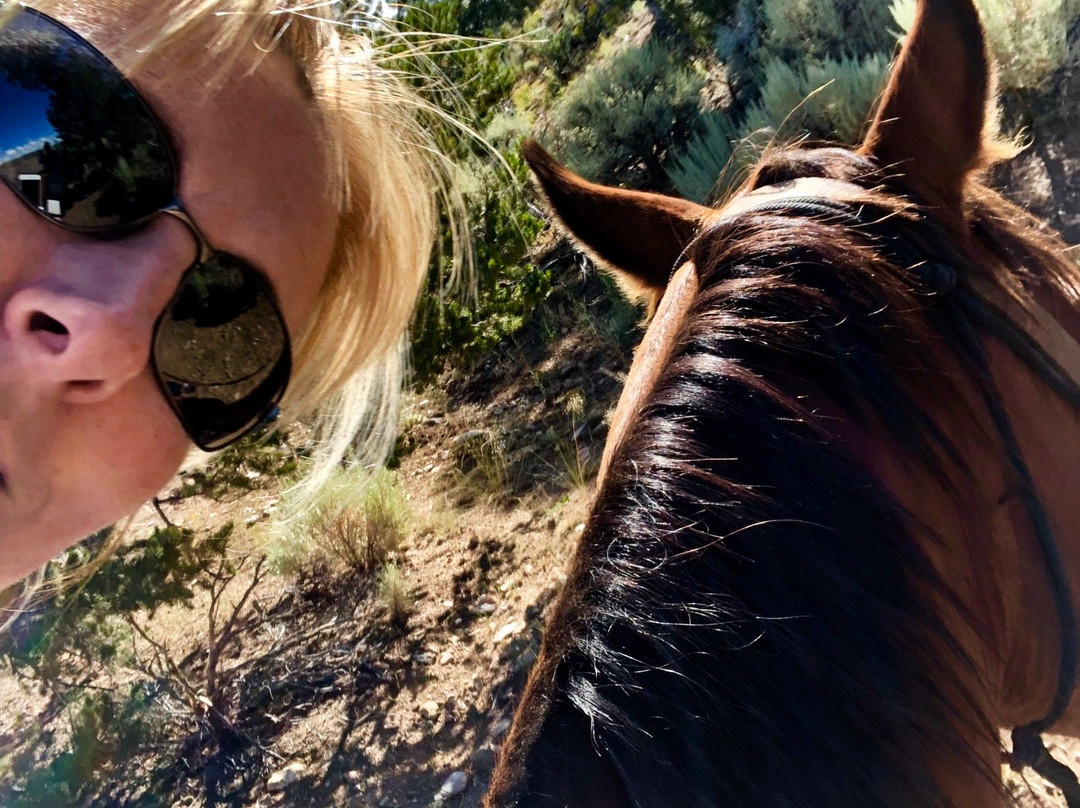 Rio Grande Stables-Questa必去景点