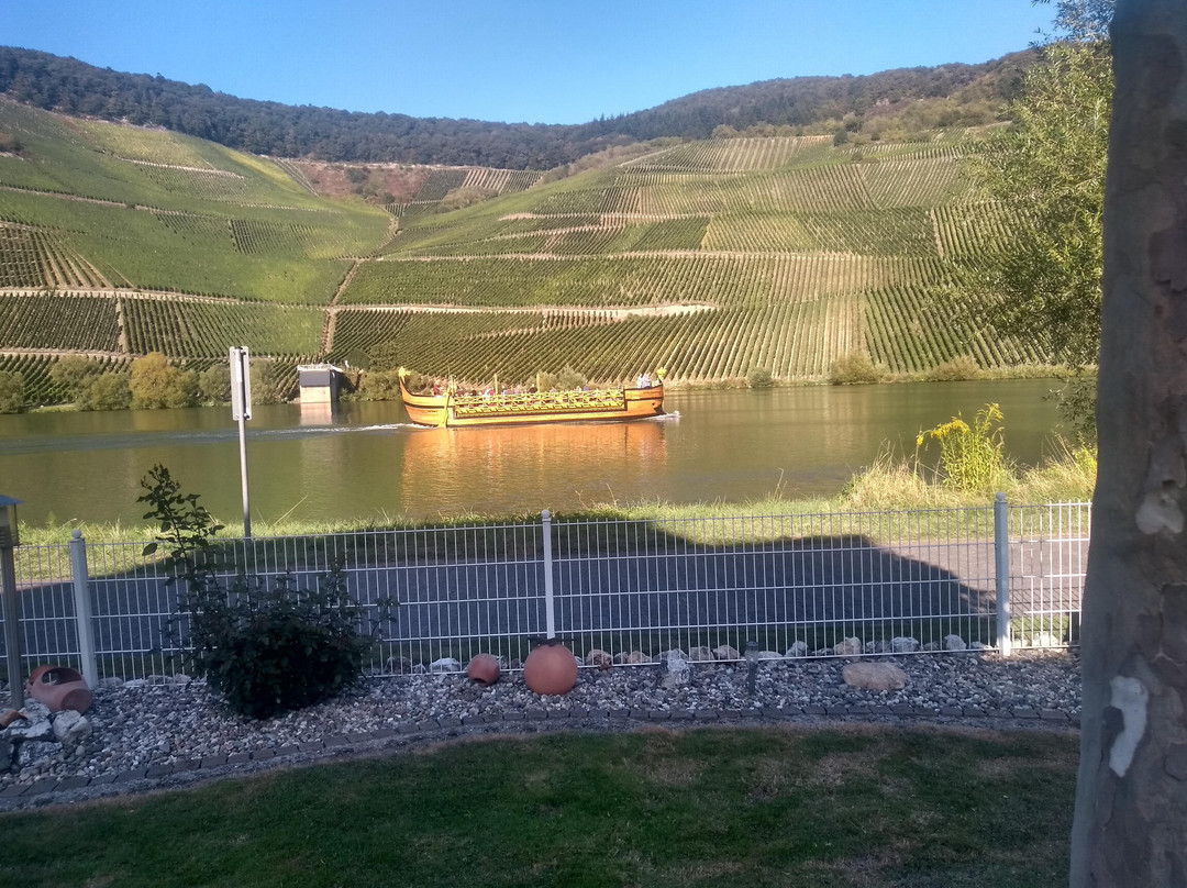 Weingut Karthaeuserhof主图