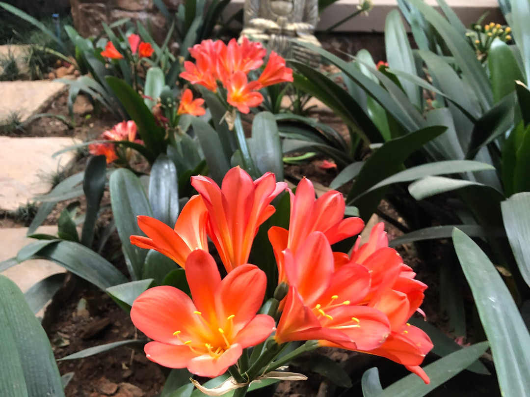 Villa Bali Luxury Guest House & Conference Centre主图