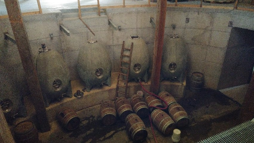 Alcohuaz Vineyards-Coquimbo必去景点