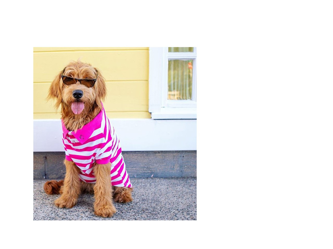 Lotus-索拉纳海滩必去景点