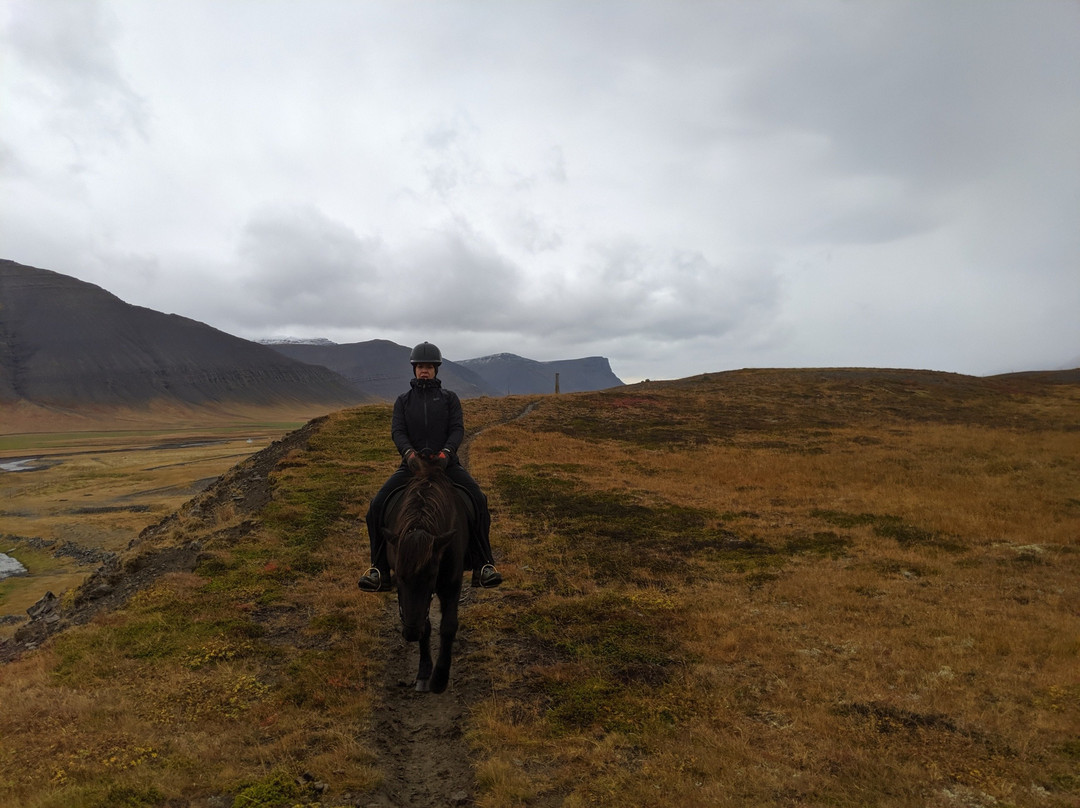 Simbahollin Bike and Horse Rental景点图片