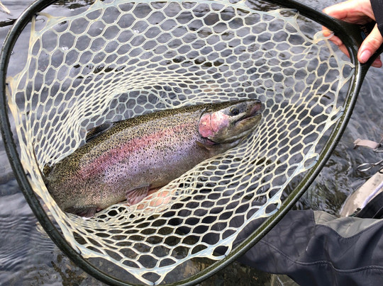 Alaska Troutfitters-Cooper Landing必去景点