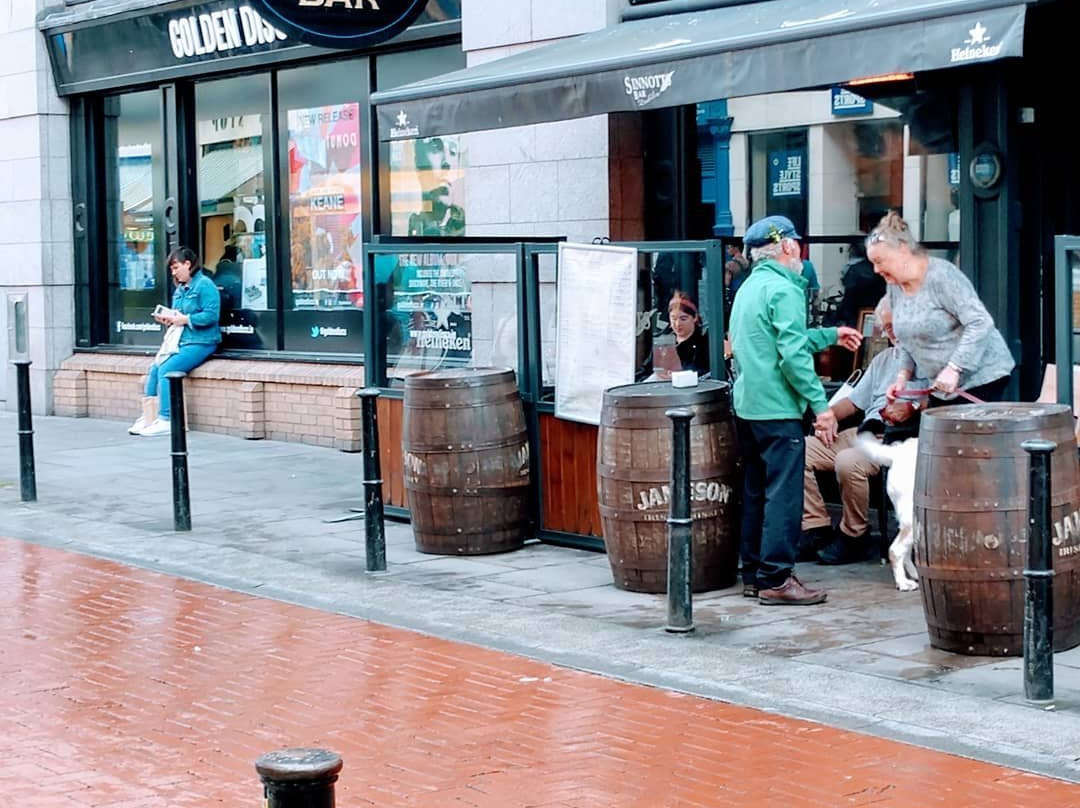 Sinnot's酒吧-都柏林必去景点