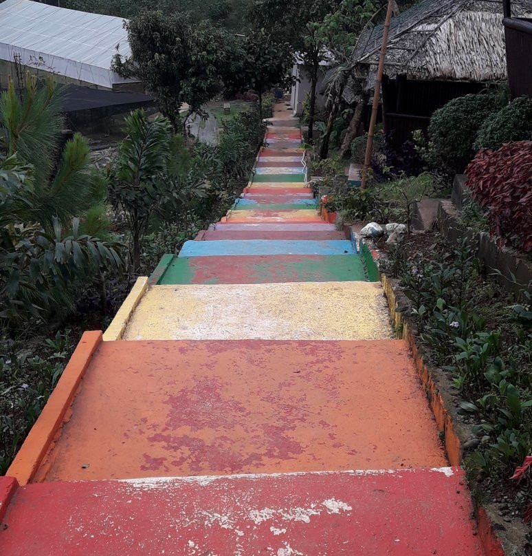 Aningalan Strawberry Farm景点图片