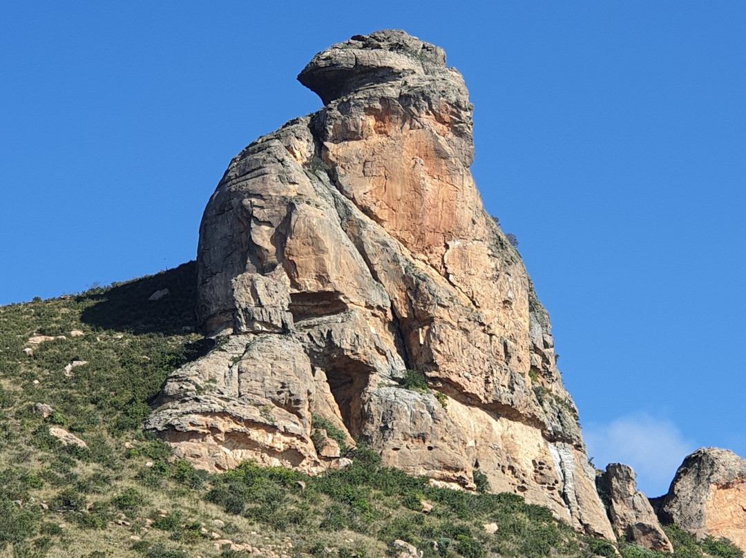 Mount Everest Game Farm