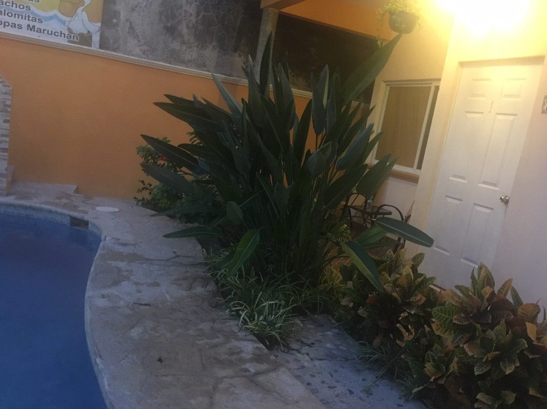 Hotel Punta Arena主图