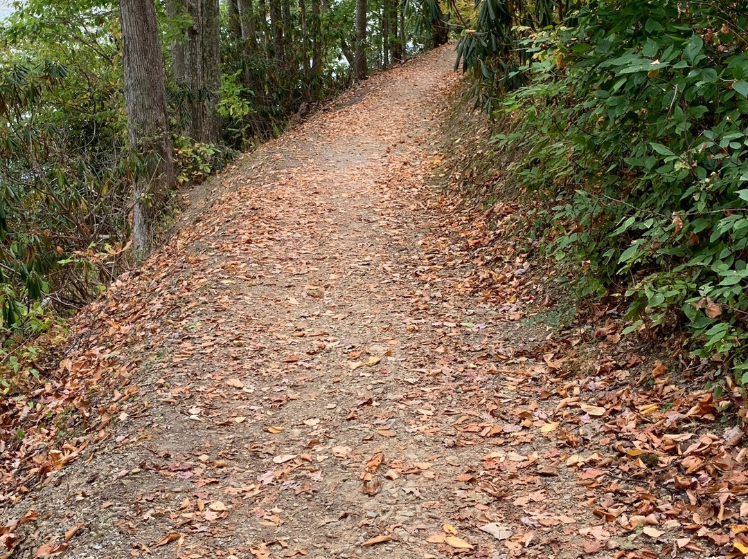 Mount Rogers National Recreation Area-Marion必去景点