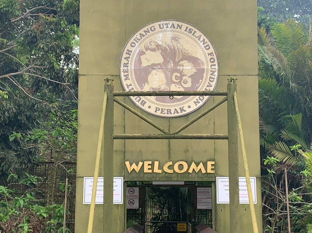 Orang Utan Island-新芒魏必去景点